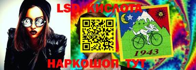 бошки Гатчина
