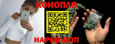 бошки Гатчина