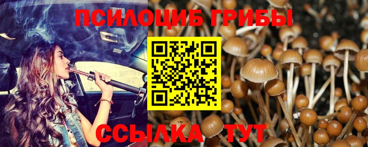 Псилоцибиновые грибы GOLDEN TEACHER Десногорск