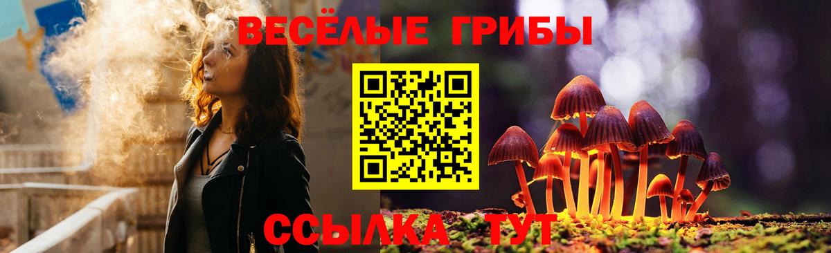 Псилоцибиновые грибы MAGIC MUSHROOMS  Галлюциногенные грибы Cubensis  Десногорск  Вход с VPN 